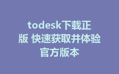 todesk下载正版 快速获取并体验官方版本