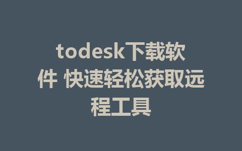 todesk下载软件 快速轻松获取远程工具