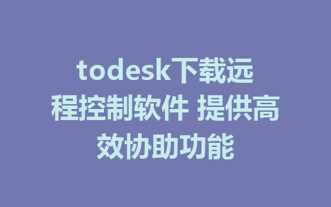 todesk下载远程控制软件 提供高效协助功能