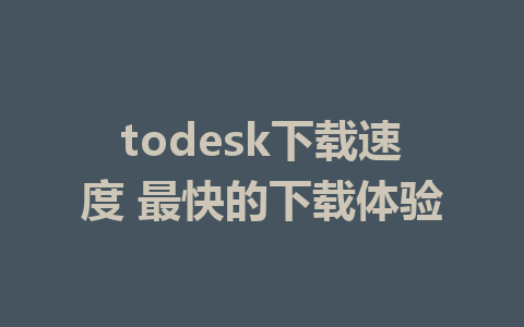 todesk下载速度 最快的下载体验