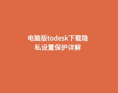 电脑版todesk下载隐私设置保护详解 1 电脑版todesk下载隐私设置保护详解